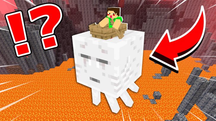 ヤバすぎるバグ技 裏技を検証したら面白かったwww まいくら マインクラフト マインクラフト Minecraft実況動画youtuber応援ブログ